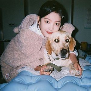 男同gay互操视频网址
